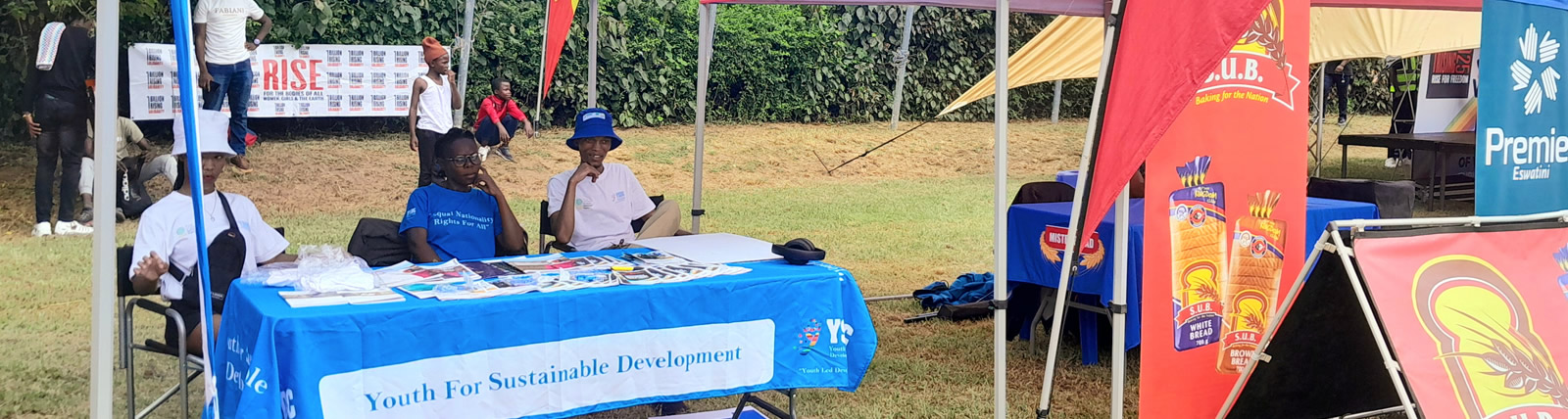 Our Work at YSDC