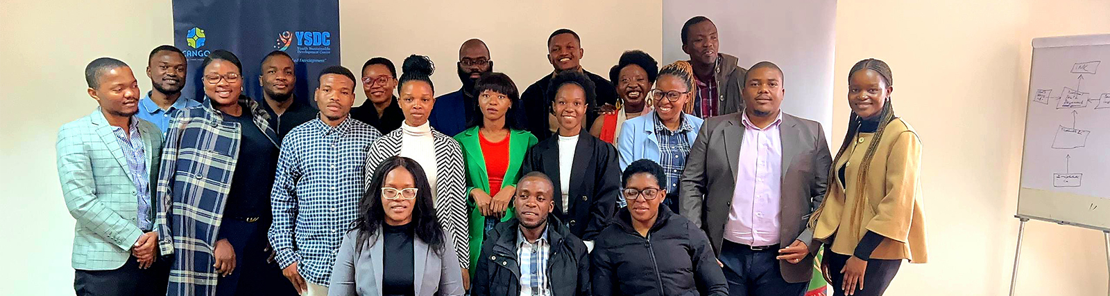 Our Work at YSDC